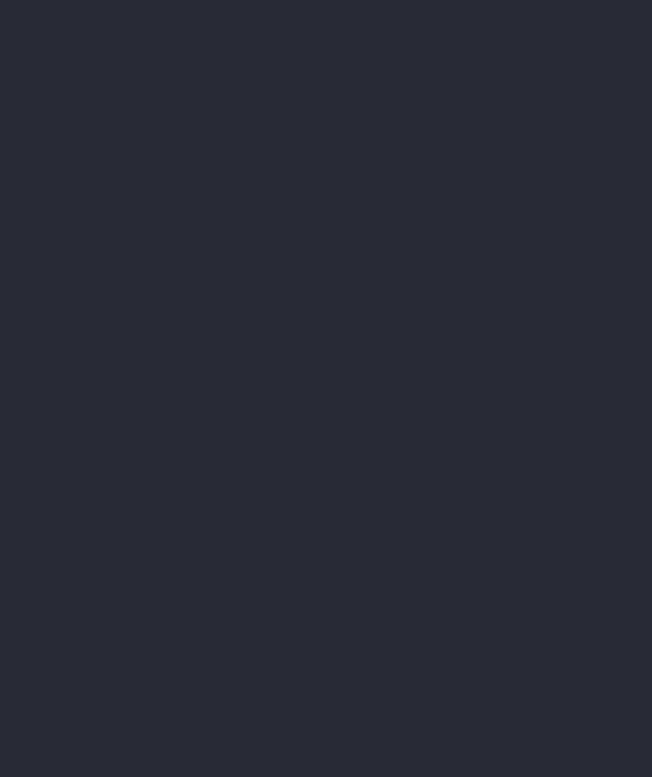 RAPS end-to-end workflow demo